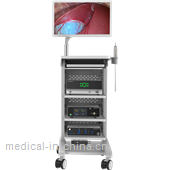DeepEye™ EVS200 3D Video Endoscopy System